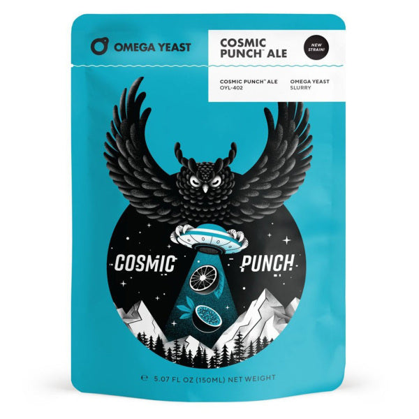 Cosmic Punch Ale